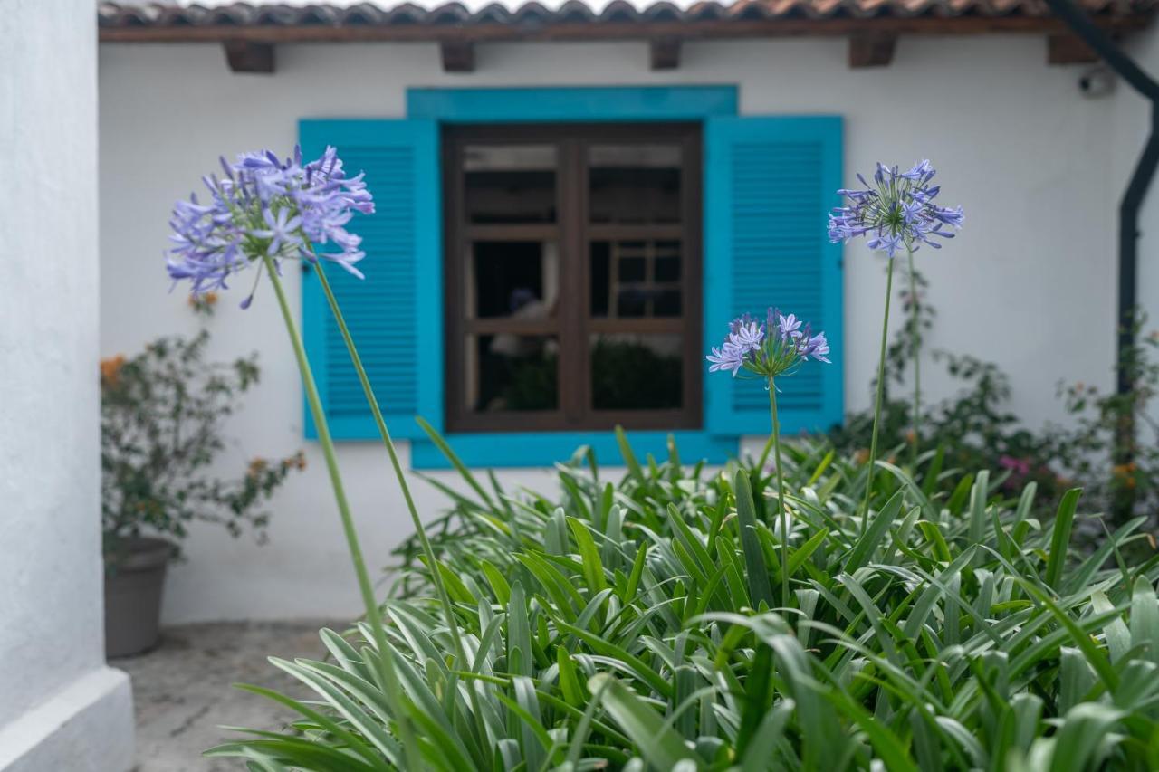 Barbara'S Boutique Hostel Antigua Exteriér fotografie